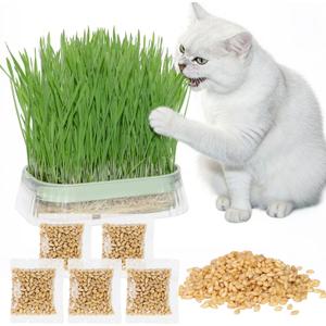 Cat Grass for Indoor Cats with 5Pack Non GMO Seeds, Organic Grass Growing Kit, Soil-Free Planter, Perfect for Beginners, Ideal Birthday Gift for Cat Lovers