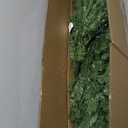 Pre-Lit Christmas Tree 7.5Ft Artificial Hinged Xmas Tree,with 400 Pre-Strung LED Lights,Metal Foldable Base,1420 Branch Tips,Artificial Holiday Christmas Pine Tree for Home,Office,Party.