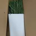 5ft Artificial Palm Tree with White Planter-Tall Artificial Indoor Plants, Fake Tropical Palm Tree, Faux Silk Plants for Home Office Living Room Bedroom Modern Decor