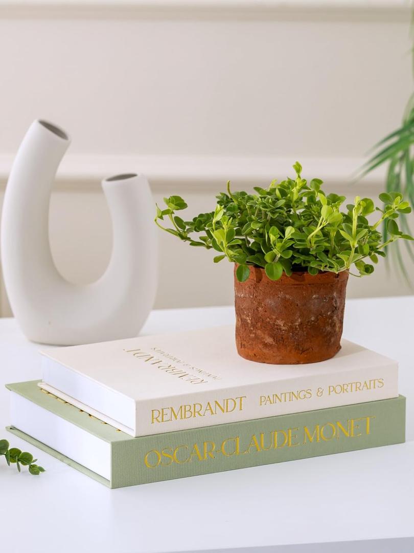 Decorative Book Box Set - 2 PCS Elegant Faux Linen Hidden Storage Books for Coffee Table, Shelf & Mantel Decor (Sage & Beige)