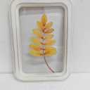 HH 11.8in Clear Wall Sign Leaf Yellow