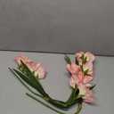 Long Stem Artificial Gladiolus Flower, Set of 2, Home/Wedding/Office Decor (Coral Pink)