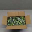 DearHouse Faux Eucalyptus Garland Plant, 2 Pack Artificial Vines Hanging Eucalyptus Leaves Greenery Garland for Wedding Backdrop Arch Wall Decor, 6 Feet/pcs UV Protected Indoor Outdoor