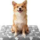 Dog Bed Mat - Comfortable Kennel Pad, Multi-Purpose Crate Bed & Mat for Dogs & Cats  Soft Crate Pad for Dog & Cat (Gray, M(30"x20"x1.5"))
