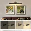 Picture Light,5000mAh Picture Lights for Wall with Remote,23.6 inch Art Light for Paintings, Gallery Lighting for Photo, Mirror, Artwork Frame, Portrait(Black)