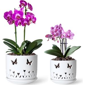 2 Pack, 5 + 6 Inch White Orchid Pots with Butterflies and Tulips Holes and Saucer, Ceramic Orchid Planters for Repotting with Drainage Holes and Tray Indoor Outdoor, Butterfly Gift