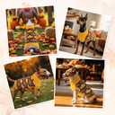 LyssKMK Thanksgiving Day Dog Sweater Yellow Brown Maple Pattern Pet Knitwear Clothes Fall Themed Costume Cold Weather Outfits for Small Middle Large Dogs XL