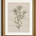 InSimSea Gold Picture Framed Wall Art, Living Room Bathroom Vintage Minimalist Botanical Pictures Wall Decor, Floral Canvas Print Art, Home Farmhouse Decor, Antique Paintings with Frames 13x16inch