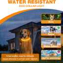 3 x LED Dog Collar, Light Up Dog Collar, Lighted Dog Collars Adjustable for Night Walking, Glow in The Dark Dog Collars Light with USB Rechargeable Color Changing Waterproof for Dogs (Orange, Small)