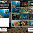 3 x Angelfish Calendar 2026 Angel Fish Monthly Wall Calender 12 Month Tropical Fish Gifts | American Made In The USA