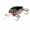Brad's Wiggler Lazer Rainbow; 3 3/4 in. 2 Pcs