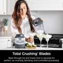 Ninja BL660 Professional Compact Smoothie & Food Processing Blender, 1100-Watts, 3 Functions -for Frozen Drinks, Smoothies, Sauces, & More, 72-oz.* Pitcher, (2) 16-oz. To-Go Cups & Spout Lids, Gray