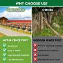 Gtongoko 4.8 Feet Heavy Duty Metal Fence Posts, 10 Pack U Channel Fence Post with Anchor Plate, Green Steel T Post for Garden, Yard, Farm, Wire Fencing