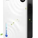 Dehumidifiers for Home