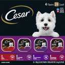 Cesar Classic Loaf in Sauce Wet Dog Food, Beef Recipe, Filet Mignon Flavor, Grilled Chicken Flavor, and Porterhouse Steak Flavor, 3.5 oz. Easy Peel Trays, Variety Pack (24 Count, Pack of 1) (EXP 12/01/27)