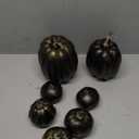 Winlyn 7 Pcs Assorted Artificial Gold Brush Black Pumpkins Rustic Decorative Halloween Faux Foam Pumpkins for Fall Halloween Thanksgiving Tabletop Centerpiece Mantel Kitchen Decor