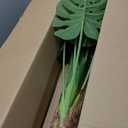 VECELO 4FT Artificial Monstera Plant Tall, 48'' Faux Swiss Cheese Plants Large with Fake Bark, Dried Moss and Pot, Houseplant for Indoor Outdoor Living Room Home Decor