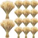 Geosar 1600 Stems Dried Wheat Stalks for Decor Natural Wheat Grass Sheaves Bundle Farmhouse Artificial Flowers Arrangement for DIY Wedding Table Home Centerpieces Party Decorative (16 Inch)