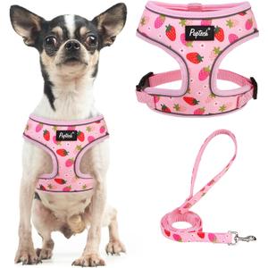 PUPTECK Soft Mesh Dog Harness and Leash Set Pet Puppy Cat Comfort Padded Vest No Pull Harnesses, Strawberry Pink, S, Size: S (NECK: 12", CHEST: 14"-18")