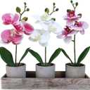 Winlyn Set of 3 Small Artificial Orchid Potted Plants Arrangement with Rustic Wood Planter Box Real Touch Faux Phalaenopsis Moth Orchid Flowers in Pots for Home Office Desk Shelf Table Centerpiece