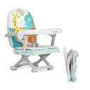 Dream On Me Munch N Go Booster Seat for Babies 636 Months, 3-in-1 Feeding, Floor & Table Seat, Adjustable 4 Heights, Lightweight Portable Design, 3-Point Safety Harness, Easy to Fold & Carry- Mint
