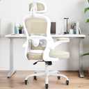 Ergonomic Office Chair,Ultra Thick Office Desk Chair with Adjustable Lumbar Support and Headrest,Spring Cushion,Rocking Function,Flip-up arms,Mesh Computer Chair for Home Office,Khaki