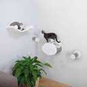 Trixie Wall Mounted Cat Lounge Set with Hammock & Condo Climbing Shelves with Plush Condos & Sisal Steps Wall-Mounted Cat Furniture for Scratching & Lounging Gray, 18.75 x 11 x 11.25 in