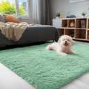 OLANLY 3x5 Machine Washable Small Bedside Rug, Soft Fluffy Shaggy Rugs for Living Room, Bedroom, Indoor Floor Carpet for Kids Girls and Boys, Preppy Dorms, Nursery, Home Decor Aesthetic, Mint Green