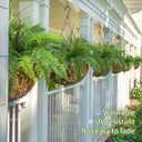 RECUTMS Artificial Fern Plants 2Pcs 19.7Inch Fake Boston Fern Faux Plastic Plant Outdoor UV Resistant Shrubs Greenery Bundles Outside Indoor Home Garden Office Balcony Party Porch Potted Hanging Decor