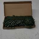 Palm Leaves, 108 Pcs 6 Kinds Artificial Palm Leaves Monstera Tropical Leaves Decor, Green Leaves for Jungle Hawaiian Luau Safari Party Table Wedding Birthday Theme Party Decorations