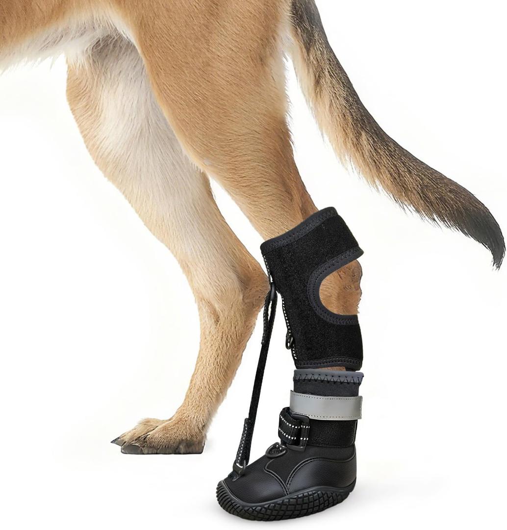 Idepet Dog Drop Foot Brace Strap On (No Knuckling Boot Brace)  Dog Boot Leg Braces for Leg Support, Dog Shoes Lift Toes for Foot Issues, Arthritis, Pet Corrector for Dogs (8)