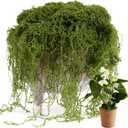 USMOLA Fake Moss for Potted Plants Indoor, 7OZ Green Moss for Crafts - Realistic Faux Moss Decor for DIY, Terrariums, Fairy Gardens & Table Centerpieces - Craft Moss for Home Decor (Natural Green)