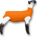 Show Pro Orange Spandex Lamb Tube for Show Sheep & Lamb - Show Livestock Supplies: Sheep Covers & Blankets (Medium)