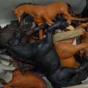 12 Pack Plastic Horse Toys Set with Educational Booklet and Gift Box, Realistic Horse Figurines for Toddler 1-3, Pony Party Decoration, Cake Topper, Birthday Holiday for Boy Girl Kid