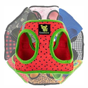 EcoBark Step in Dog Harness - Eco-Friendly Small Breed Dog Harnesses for Dogs - Reflective and Adjustable Body Halter Vest - Soft Mesh Toy Breed Harness (Large -17 to 19 lbs -Chest Up to 18 in (Pack of 1))