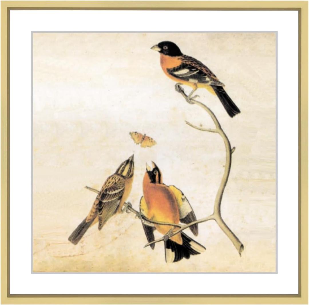 9x9 Picture Frame, Brass Metal Square Photo Frames with HD Glass, Fits 8x8 with Mat or 9 x 9 without Mat, Display for Wall and Table, 1 Pack