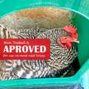 Nest Box Pads for Chicken Nesting Boxes - 13 x 13 Pads Made in USA from Sustainably Sourced Aspen Excelsior (10 Pack)