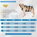 Dog Lift Harness for Large Male Dogs, 2-in-1, Back Leg Support & Mobility Assistance for Senior Dogs, Post-Surgery Recovery Sling(Black, Large)