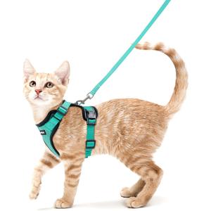 rabbitgoo Cat Harness and Leash for Walking, Escape Proof Soft Adjustable Vest Harnesses for Cats, Easy Control Breathable Reflective Strips Jacket, Emerald, Small