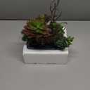 Small Faux Plant Assorted Fake Succulents Plants with Glazed Ceramic Pot Faux Succulents Arrangement Cement Potted Desk Plants Small Fake Plants for Home Table Office Bathroom Shelf Living Room Decor