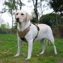 Dog Harness with Airtag Holder, No-Pull Tactical Service Dogs Vest with Handle, Escape Proof Freedom Outdoor Easy Walk Jacket with Back Front Clip for Small Medium Large Breeds,Khaki,S