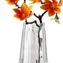 Modern Glass Vase Crystal Clear H-9.8" Cute Tall Flower Vases for Bouquet Farmhouse Home Office Decor Centerpieces(Clear)