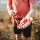 PROBAR - Bolt Organic Energy Chews, Pink Lemonade, Non-GMO, Gluten-Free, USDA Certified Organic, Healthy, Natural Energy, Fast Fuel Gummies with Vitamins B & C (12 Count)