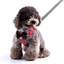 Rypet Small Dog Harness and Leash Set - No Pull Pet Harness with Soft Mesh Nylon Vest for Small Dogs and Cats Red L