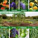 Garden Arch Trellis for Climbing Plants Outdoor - 83" H*71" W*43" L Large Rustproof Garden Trellis, Heavy Duty Grape Trellis, Tunnel Trellis for Melons, Pumpkins, Cucumbers, Peas(Black)