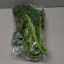 Reptile Plants, Terrarium Hanging Plant Vines Artificial Leaves Reptile Hide, Leopard Gecko Tank Accessories, Terrarium Decorations for Bearded Dragon Lizard Snake Geckos Chameleon