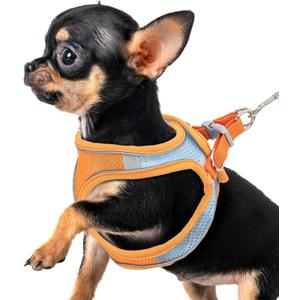 Premium Chihuahua Harness and Leash Set - Ultra-Comfy & Secure Dog Harness for Chihuahua