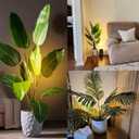 Spot Lights Indoor Uplights 8W Floor Can Uplighting Indoor with 3000K GU10 Bulb Desktop Corner Accent Lighting for Home Plant Picture Living Room with 5.9 FT Plug Cord and Foot Switch(2Pack)
