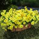 Artificial Flowers for Outdoors Fake Flowers Plants for Spring Summer Decor, 12 Bundles Silk Morning Glory with Eucalyptus Look Real UV Resistant Yellow Faux Flowers for Outside Planters Yard Patio