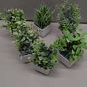 Der Rose 6 Pack Fake Plants Small Artificial Plants Faux Plants Indoor for Home Bathroom Bedroom Living Room Classroom Decor (Grey)